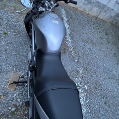 HONDA  VTR250の画像