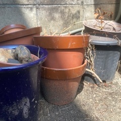【無料】植木鉢　鉢植え　ブロックの画像