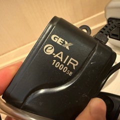 水槽のエアーの画像