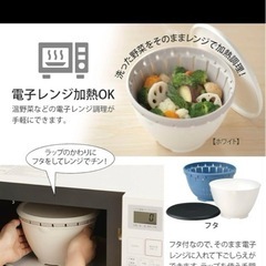 【未使用】リス ザル ボウル セット ふた付きボール ホワイト×グリーン 限定カラーの画像