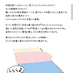 すのこ ロール 【美品】の画像