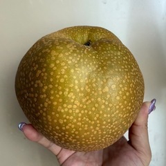 彩玉【安売り】1袋4つ入りの画像