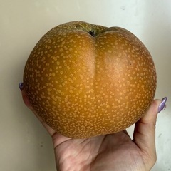 彩玉【安売り】1袋4つ入りの画像