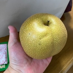 梨　豊水※決まりましたの画像