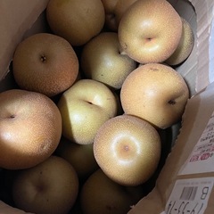 梨　豊水※決まりましたの画像