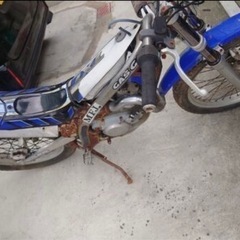 GASGAS 250 トライアル 部品取り車の画像