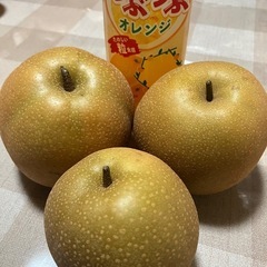 豊水なし　　２セット※決まりましたの画像
