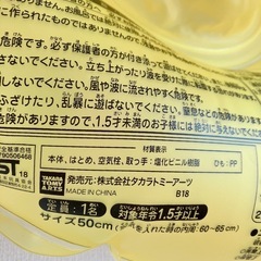 ディズニー　足つき　浮き輪　50センチの画像