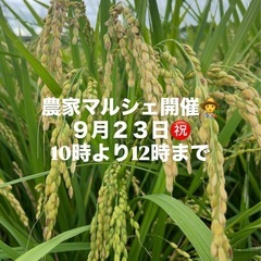 農家マルシェ🧑‍🌾高槻ナチュラルファーム　中道農園