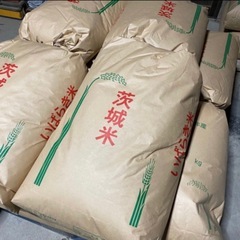 米農家発！ 1袋100円 籾殻(もみがら) お米の殻です、家庭菜園やガーデニングの資材・肥料作りに！の画像