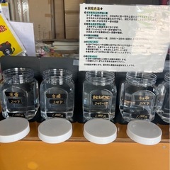 25.08.25 改良めだか　原口農場
の画像