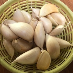 無農薬ニンニク　バラ100gの画像