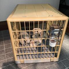 ペットゲージの画像