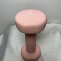 ダンベル 1kgの画像