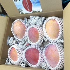 珍しい品種！コウブンマンゴー 家庭用:4キロの画像