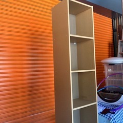 ハイタイプ カラーBOXの画像