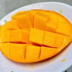 レッドキーツ1玉の画像