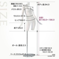トルソー  マネキン レディースの画像
