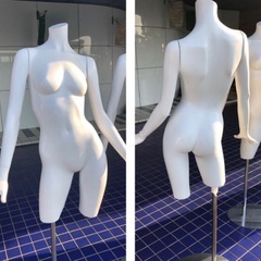 トルソー  マネキン レディースの画像