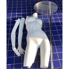 トルソー  マネキン レディースの画像