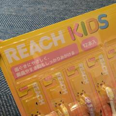REACH KIDS 12本入り　の画像
