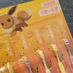REACH KIDS 12本入り　の画像