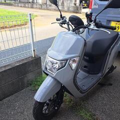 ホンダDUNKの画像