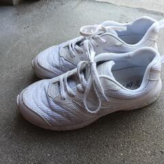 瞬足スニーカーの画像