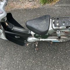 リトルカブの画像