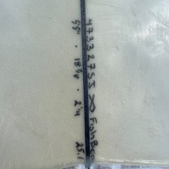 Channel Island Fish beard 5‘5の画像
