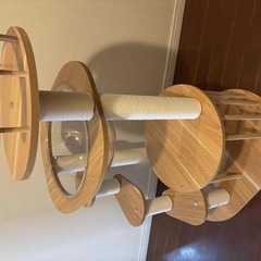 RAKU キャットタワーの画像