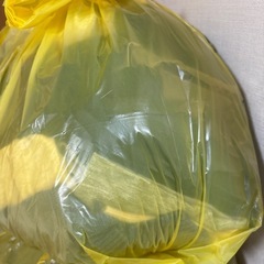 レディース 衣類の画像