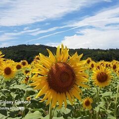 里山・低山ハイキング