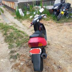 実働車スズキレッツ2の画像
