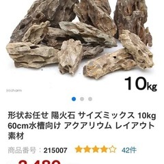アクアリウム　気孔石　陽火石　12キロの画像