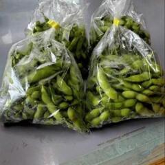 枝豆　販売しますの画像