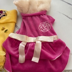 ワンちゃんのお洋服 3枚セット
の画像