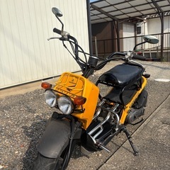 ホンダズーマーAF58カスタム実働キャブ車の画像