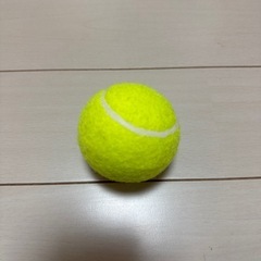 テニスボール　０円の画像
