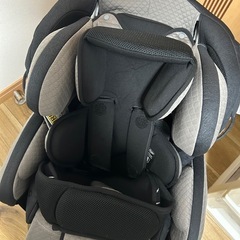 アップリカ　フィラデルフィアグロウ　お譲り先決まりました。の画像