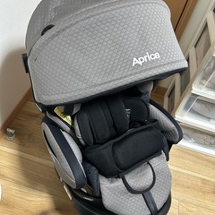 アップリカ　フィラデルフィアグロウ　お譲り先決まりました。の画像