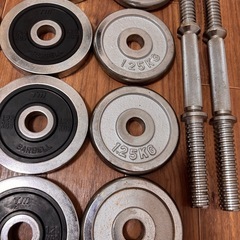 ダンベルプレート　20kg 筋トレの画像