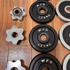 ダンベルプレート　20kg 筋トレの画像