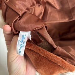 ディズニーリゾート　チップ　ファンキャップ2つセット　の画像
