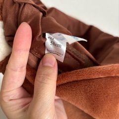 ディズニーリゾート　チップ　ファンキャップ2つセット　の画像