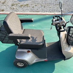 シニヤカーの画像