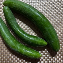 本日朝採り新鮮野菜のうちトマト・きゅうり・インゲン3種類を 1セット¥300にてお譲り致します♪⑪の画像