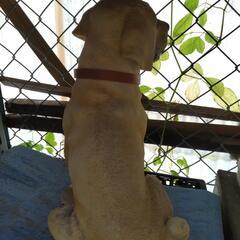 番犬くんの画像
