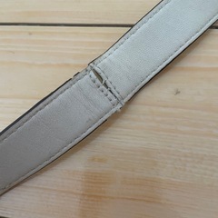 Coach bagの画像