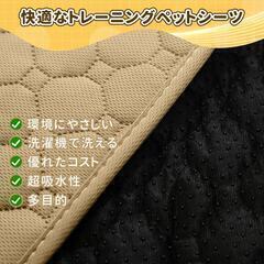【全国発送可】犬 猫用洗えるペットシーツ ペット用マット L(100×70cm) 2枚セット　業者歓迎　転売OK　　倒産品　まとめ売り　ネット商材　アマゾン引き上げ商品　メルカリ　副業の画像